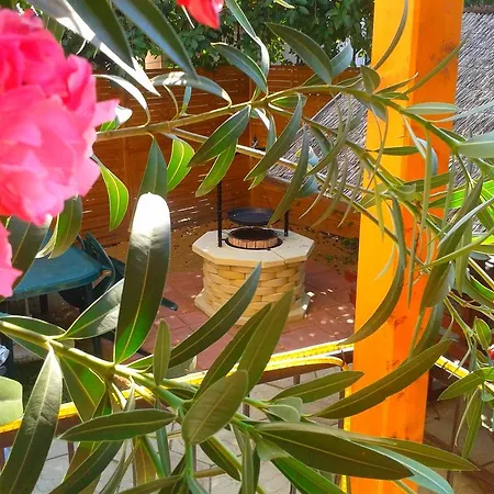 Guest house Deak Vendeghaz Apartman Hajduszoboszlo